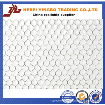 Garden Tools Leader New Hexagonal Wire Mesh with Ce Certificate